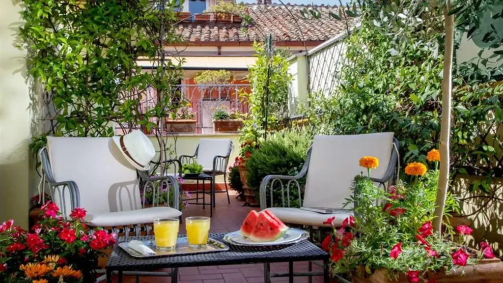 varietà di piante che puoi coltivare a casa