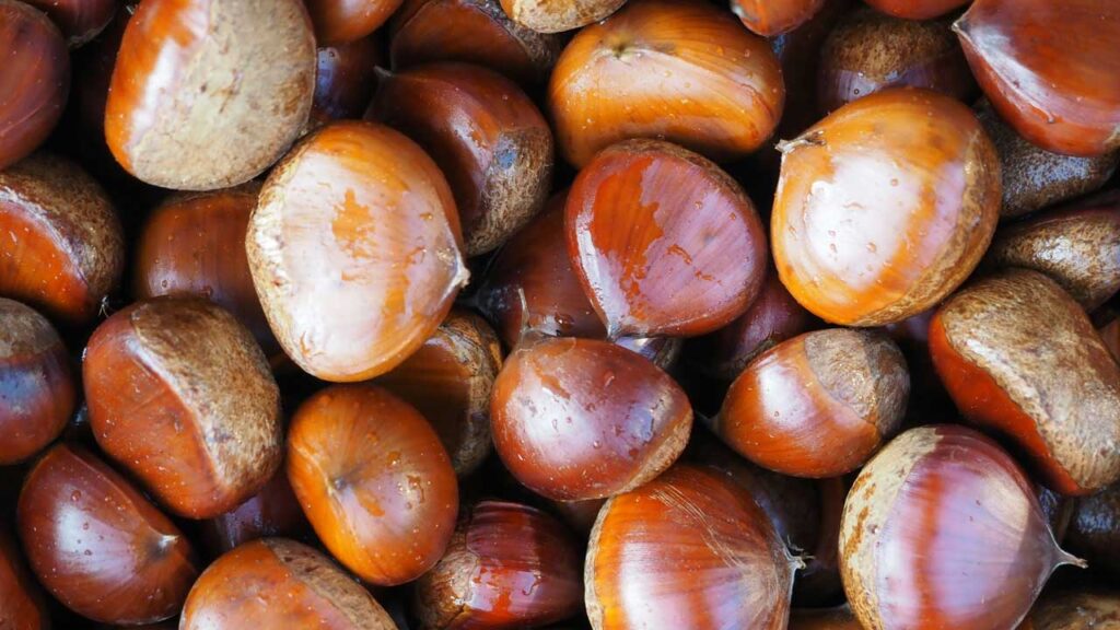 castagne
