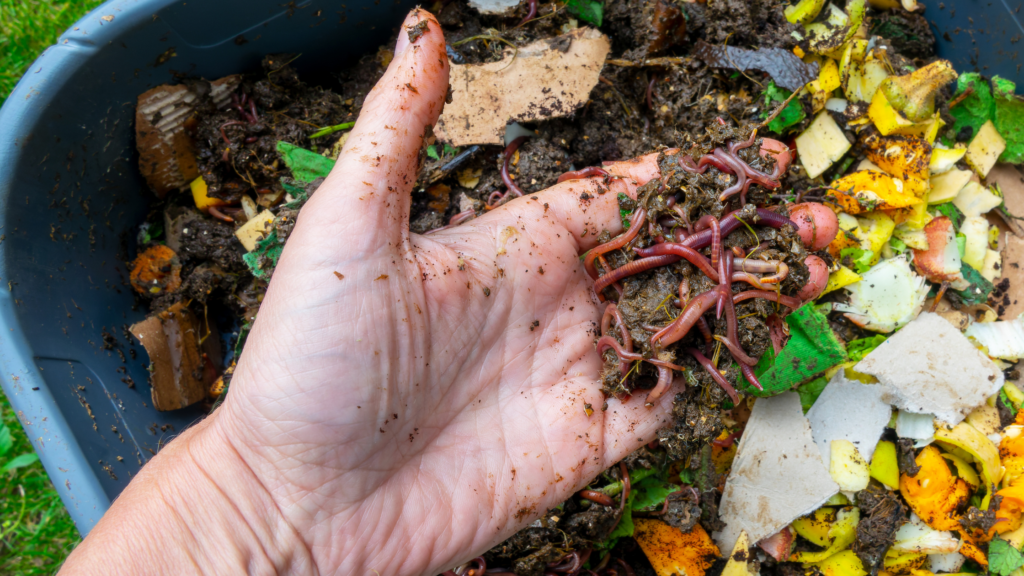 Foglie secche in giardino: come raccoglierle e trasformarle in compost o pacciamatura 2 compost